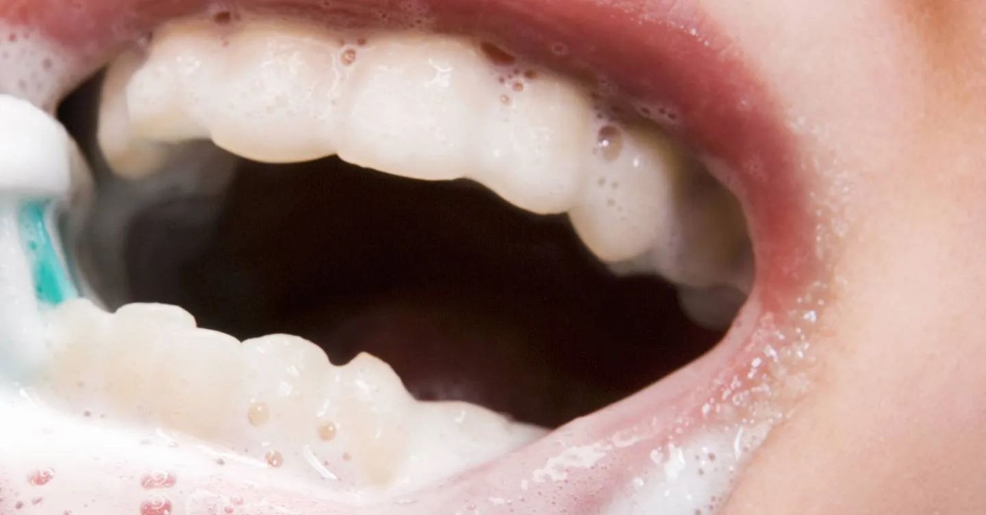 25922 brushing teeth with paste