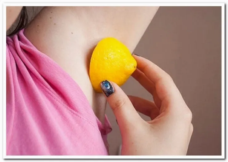 25949 honey underarm