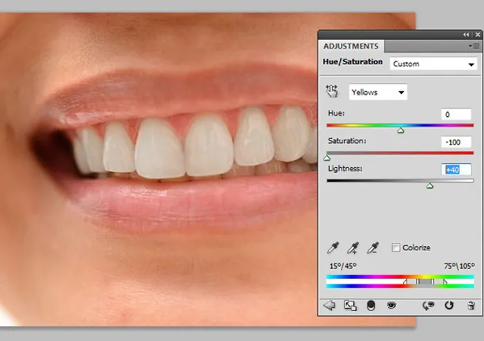 25995 brush tool teeth